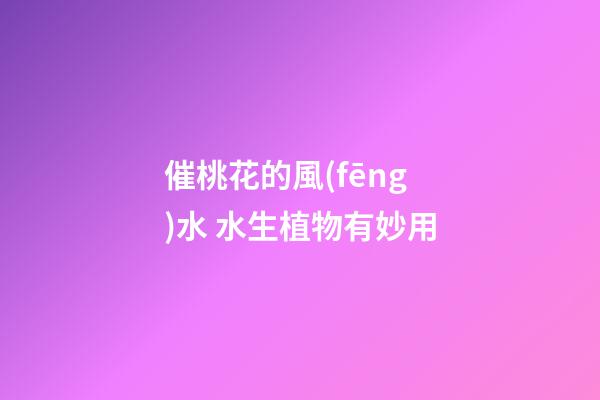 催桃花的風(fēng)水 水生植物有妙用